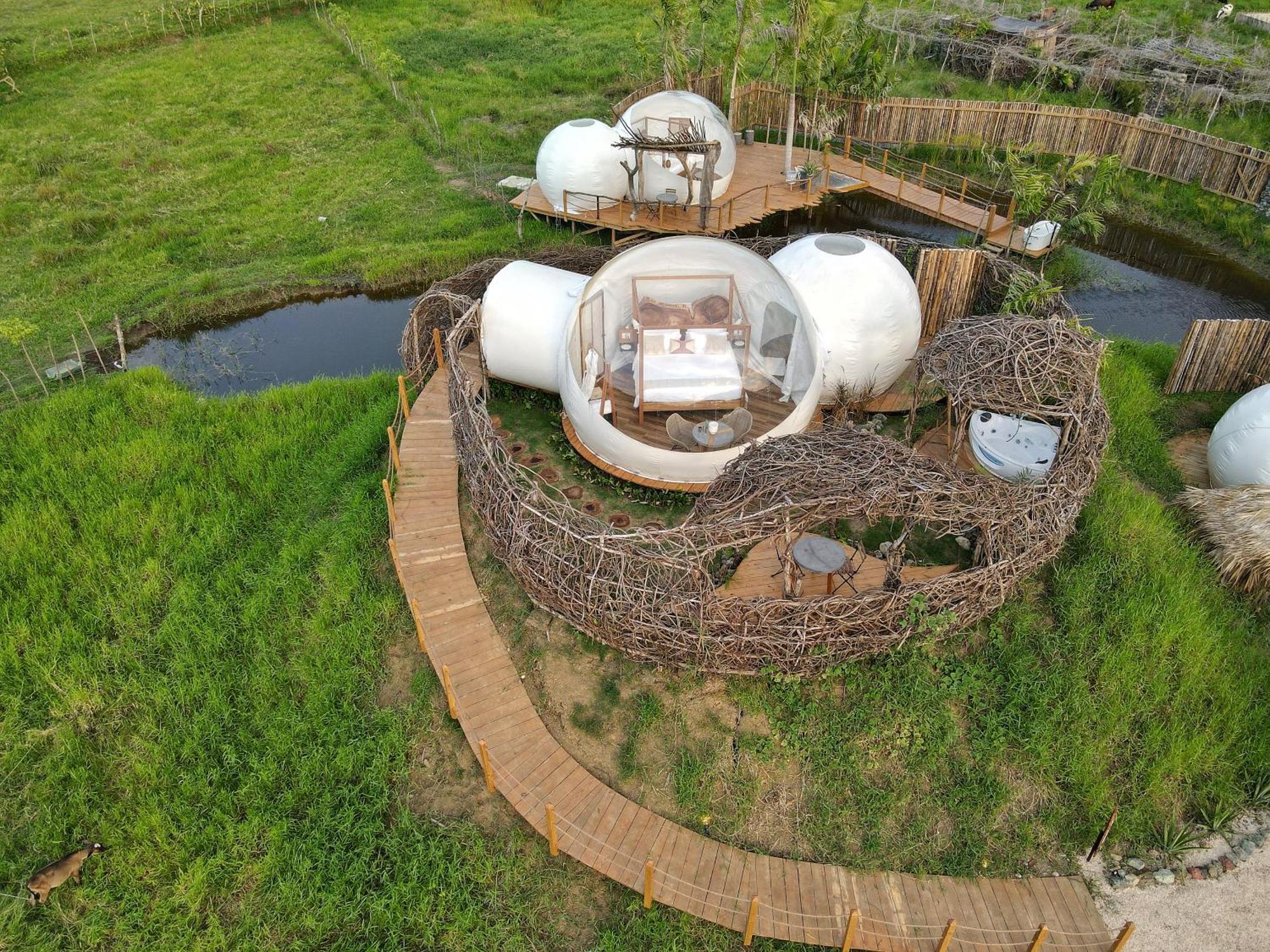 Green Land Bubble Glamping By Mint Cabarete Pokój zdjęcie