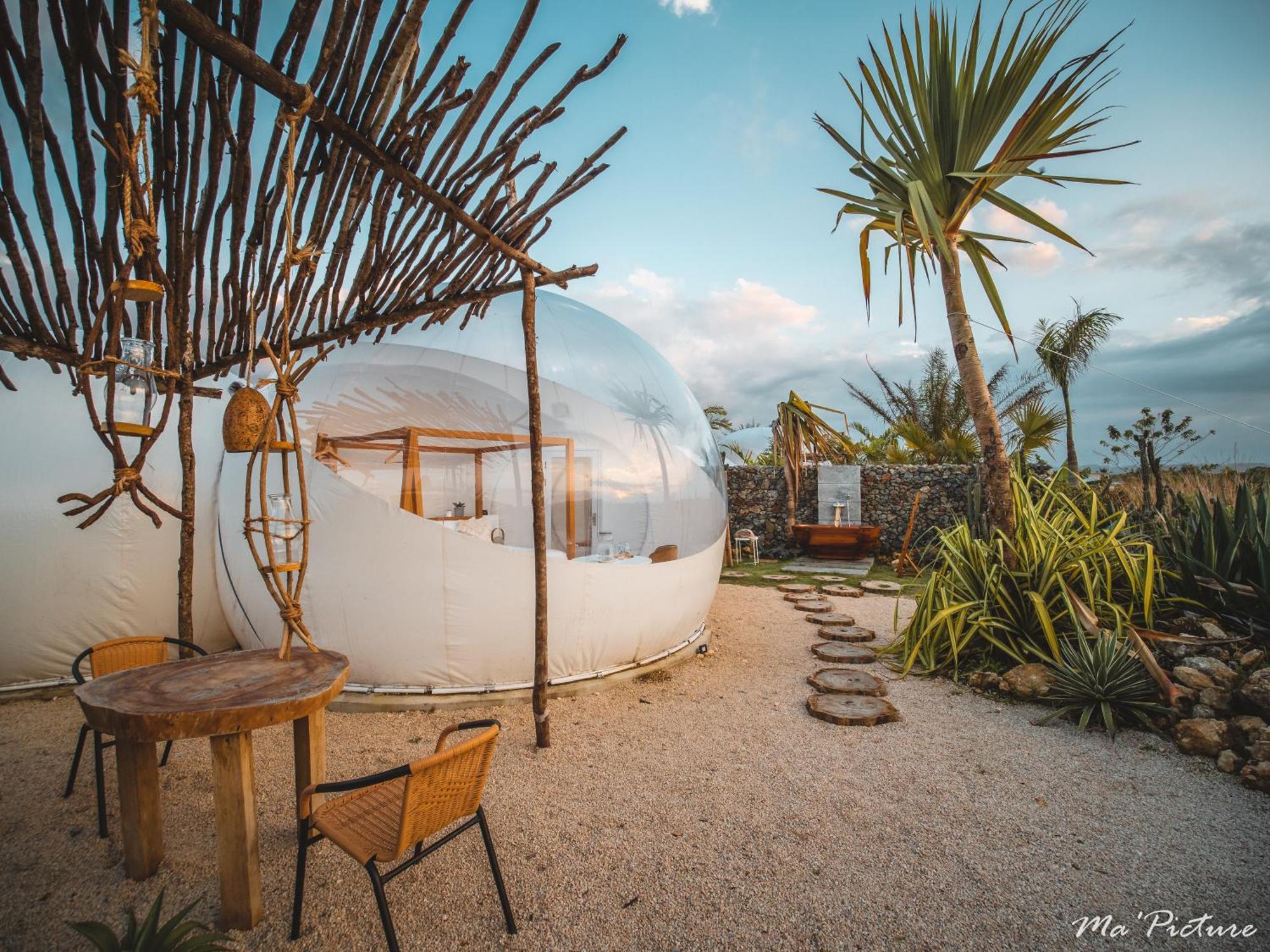 Green Land Bubble Glamping By Mint Cabarete Pokój zdjęcie