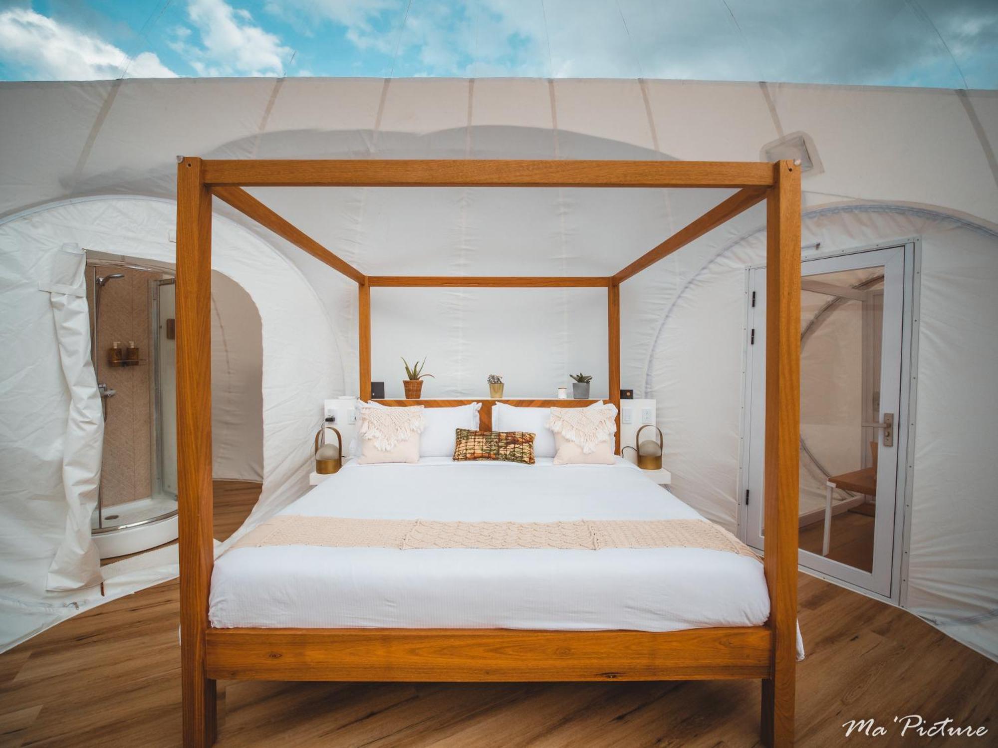 Green Land Bubble Glamping By Mint Cabarete Pokój zdjęcie