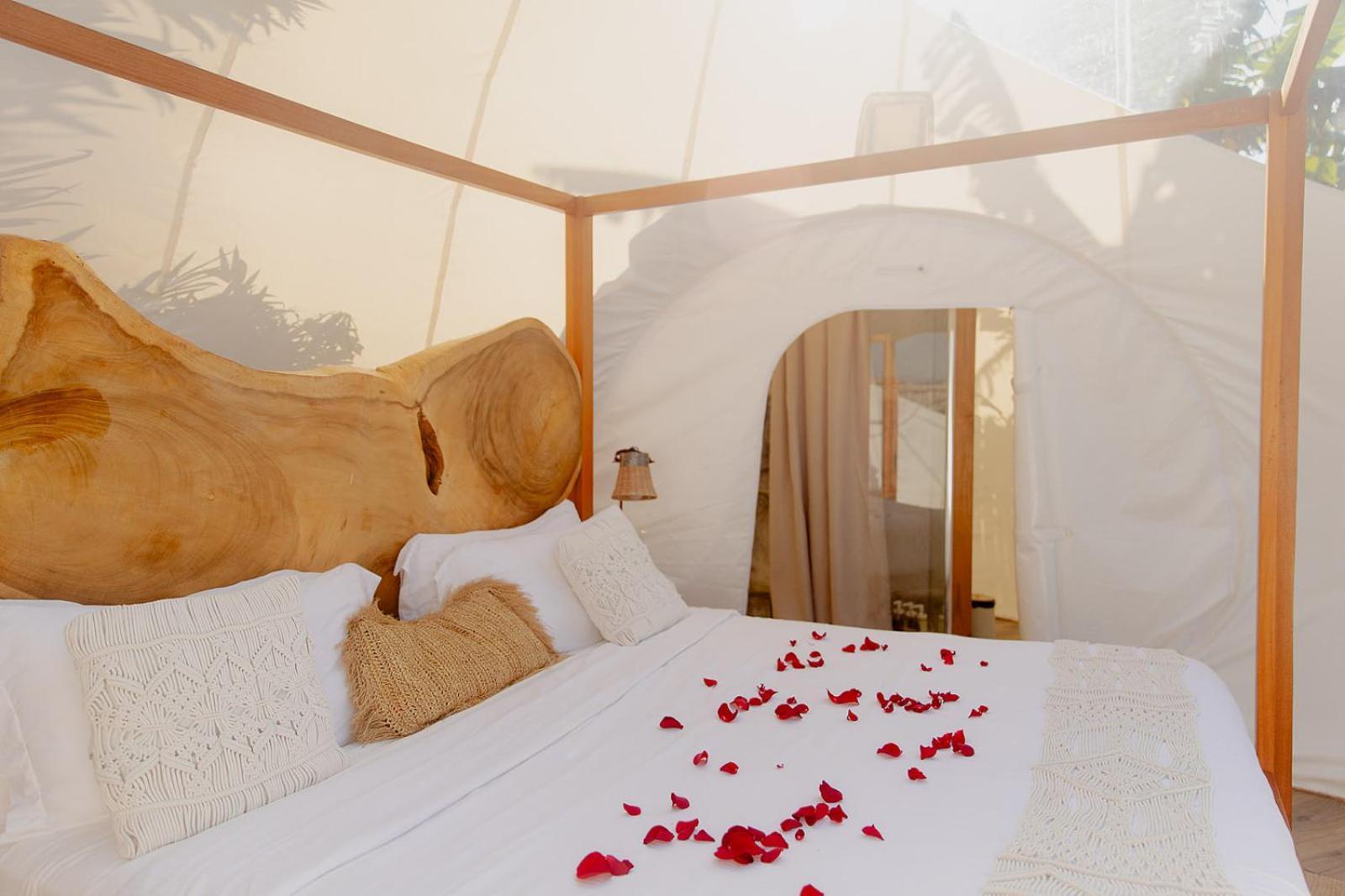 Green Land Bubble Glamping By Mint Cabarete Zewnętrze zdjęcie