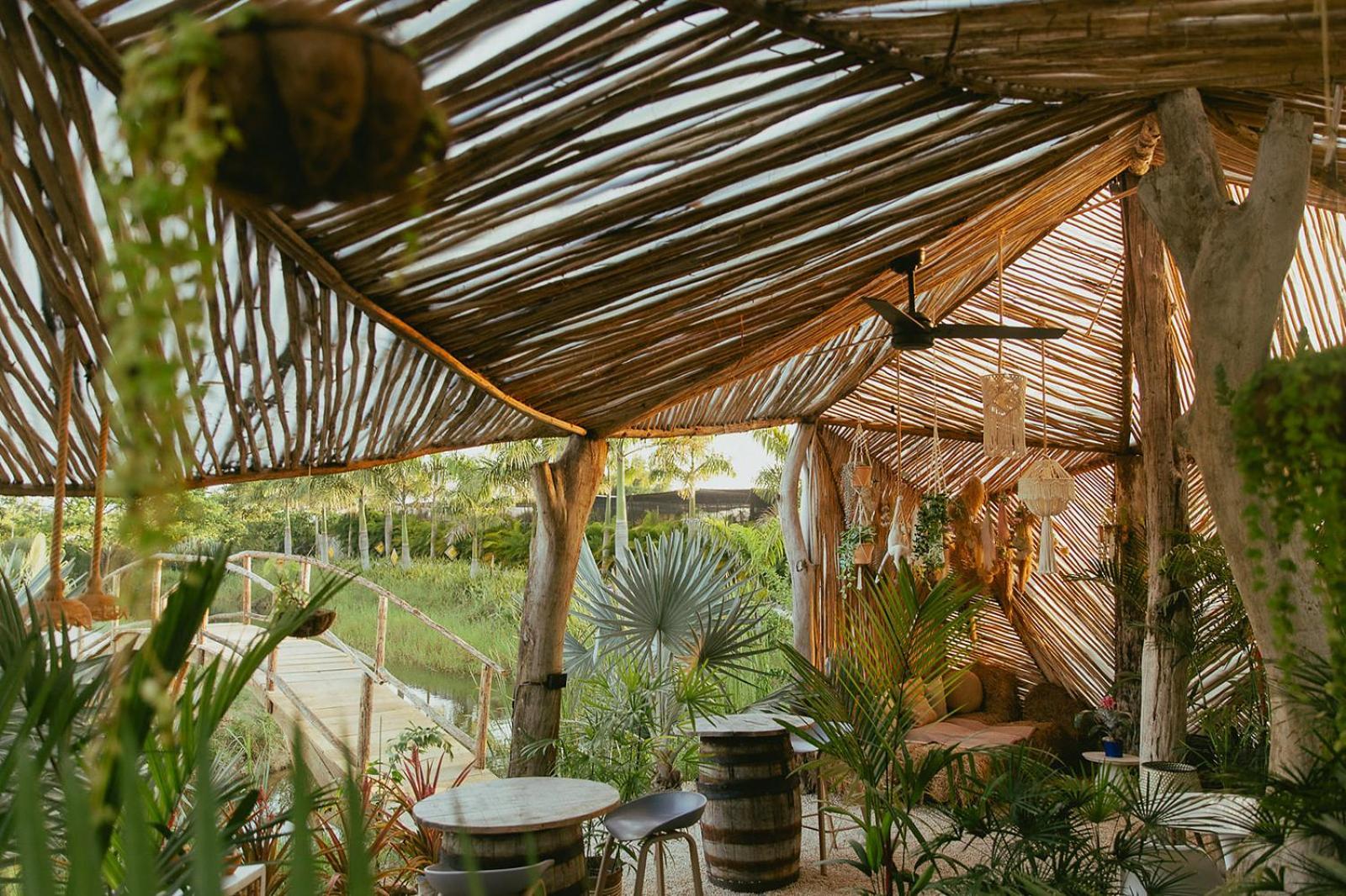 Green Land Bubble Glamping By Mint Cabarete Zewnętrze zdjęcie