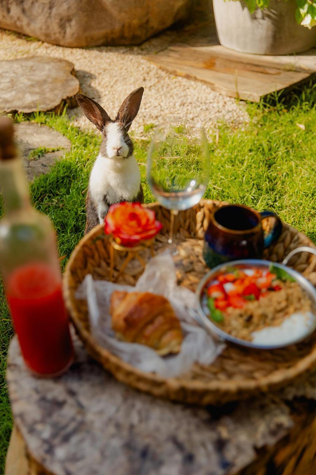 Green Land Bubble Glamping By Mint Cabarete Zewnętrze zdjęcie