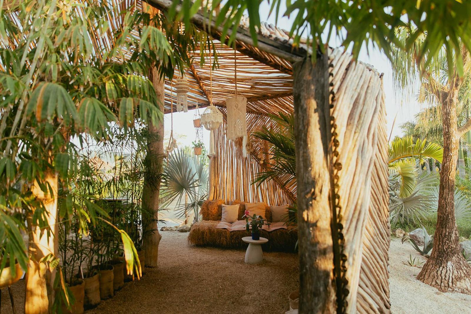 Green Land Bubble Glamping By Mint Cabarete Zewnętrze zdjęcie