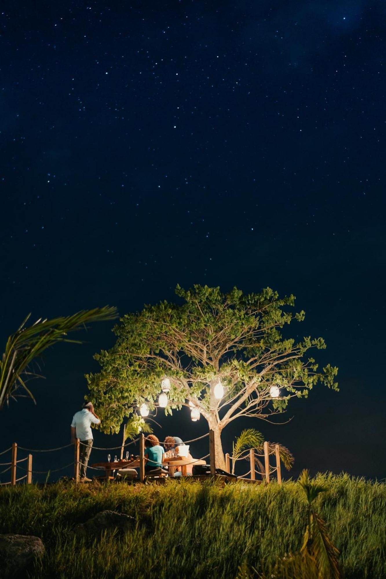 Green Land Bubble Glamping By Mint Cabarete Zewnętrze zdjęcie